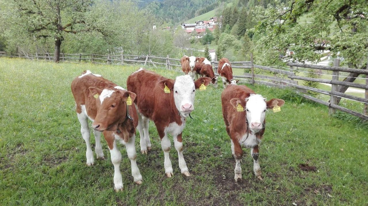 Bio-Bauernhof "Hecherhof" Thiersee Exterior foto