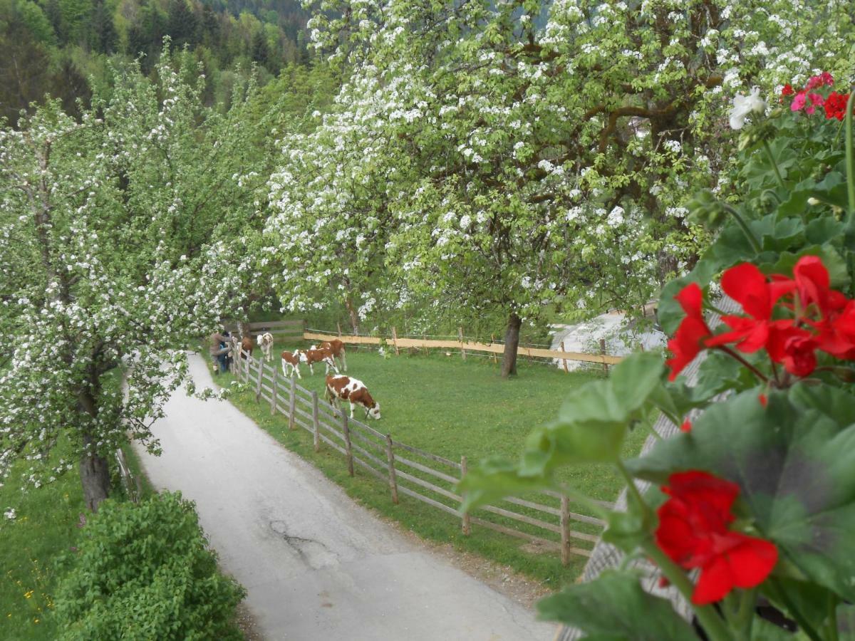 Bio-Bauernhof "Hecherhof" Thiersee Exterior foto